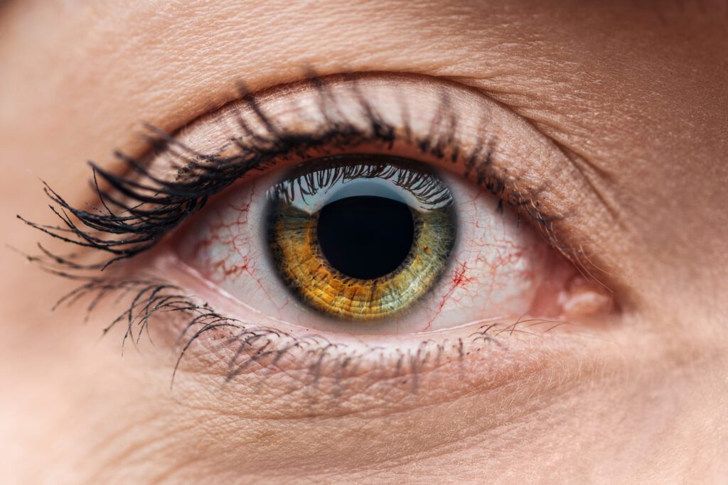 close up view of human brown and green colorful eye with eyelashes